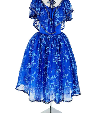 Noleggio Abito da Ballo Vintage Blu con Pizzo per Donna