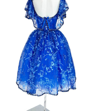 Noleggio Abito da Ballo Vintage Blu con Pizzo per Donna