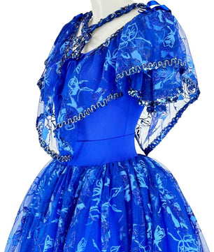 Noleggio Abito da Ballo Vintage Blu con Pizzo per Donna
