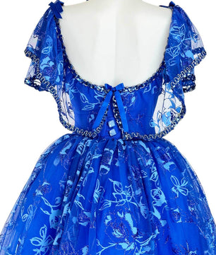 Noleggio Abito da Ballo Vintage Blu con Pizzo per Donna