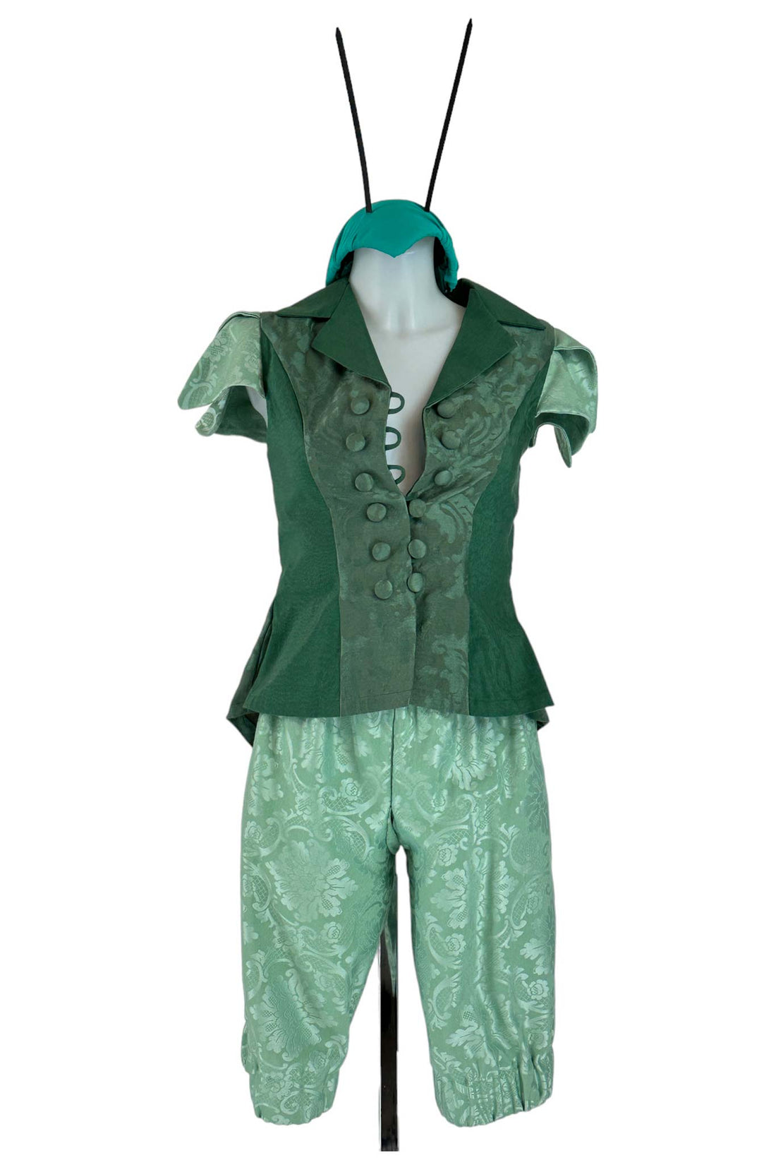 Noleggio costume Uomo Grillo Parlante di Pinocchio