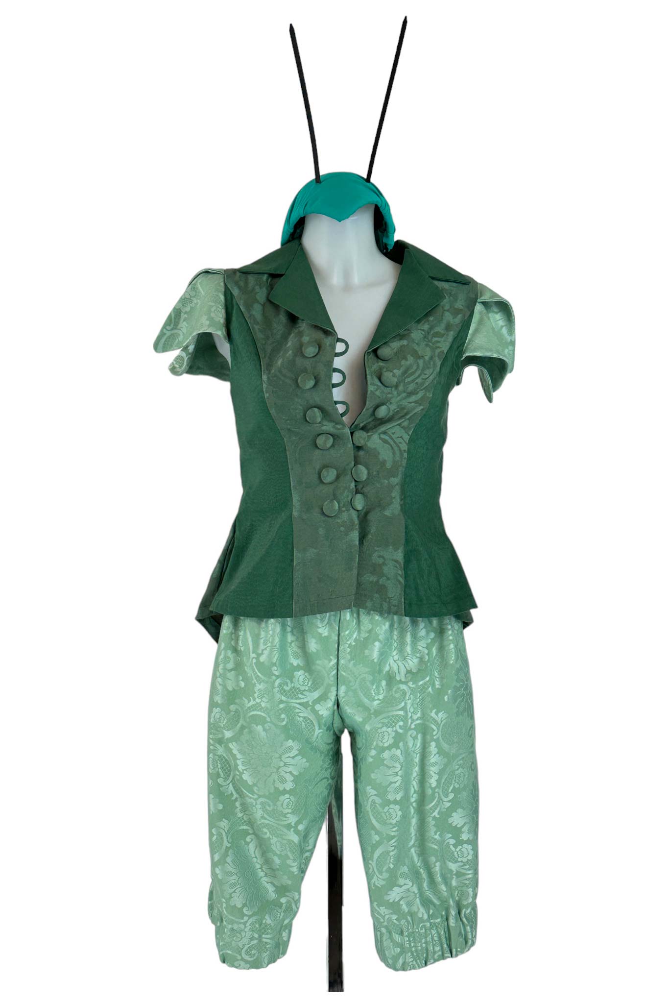 Noleggio costume Uomo Grillo Parlante di Pinocchio