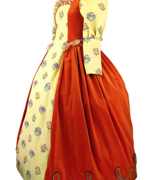 Noleggio abito donna dama '600-'700 in velluto - storico - carnevale
