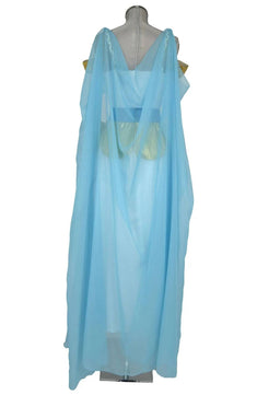 Noleggio Costume di Carnevale per donna Egiziana ###