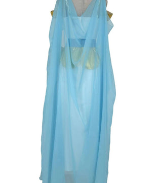 Noleggio Costume di Carnevale per donna Egiziana ###