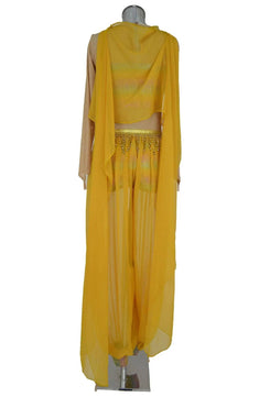 Noleggio Costume donna Odalisca per danza orientale o Baiadera Spagnola