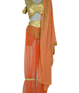 Noleggio costume Orientale donna danzatrice, baiadera o odalisca