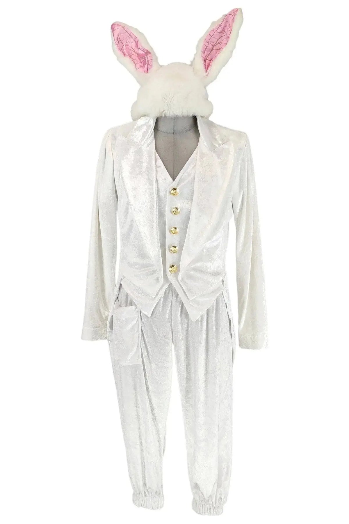 Noleggio Costume Danza Carnevale unisex Bianconiglio in Alice - Fantasia e Divertimento
