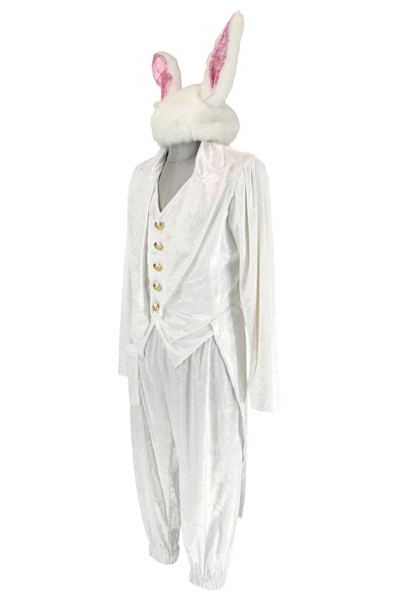 Bianconiglio Coniglio Alice Vestito Carnevale Noleggio Costume