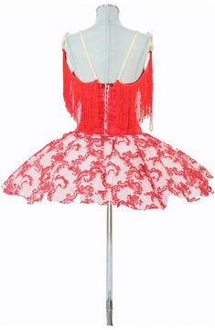 Noleggio Tutù donna balletti di danza classica Don Chisciotte, Paquita, Swan Lake e Schiaccianoci