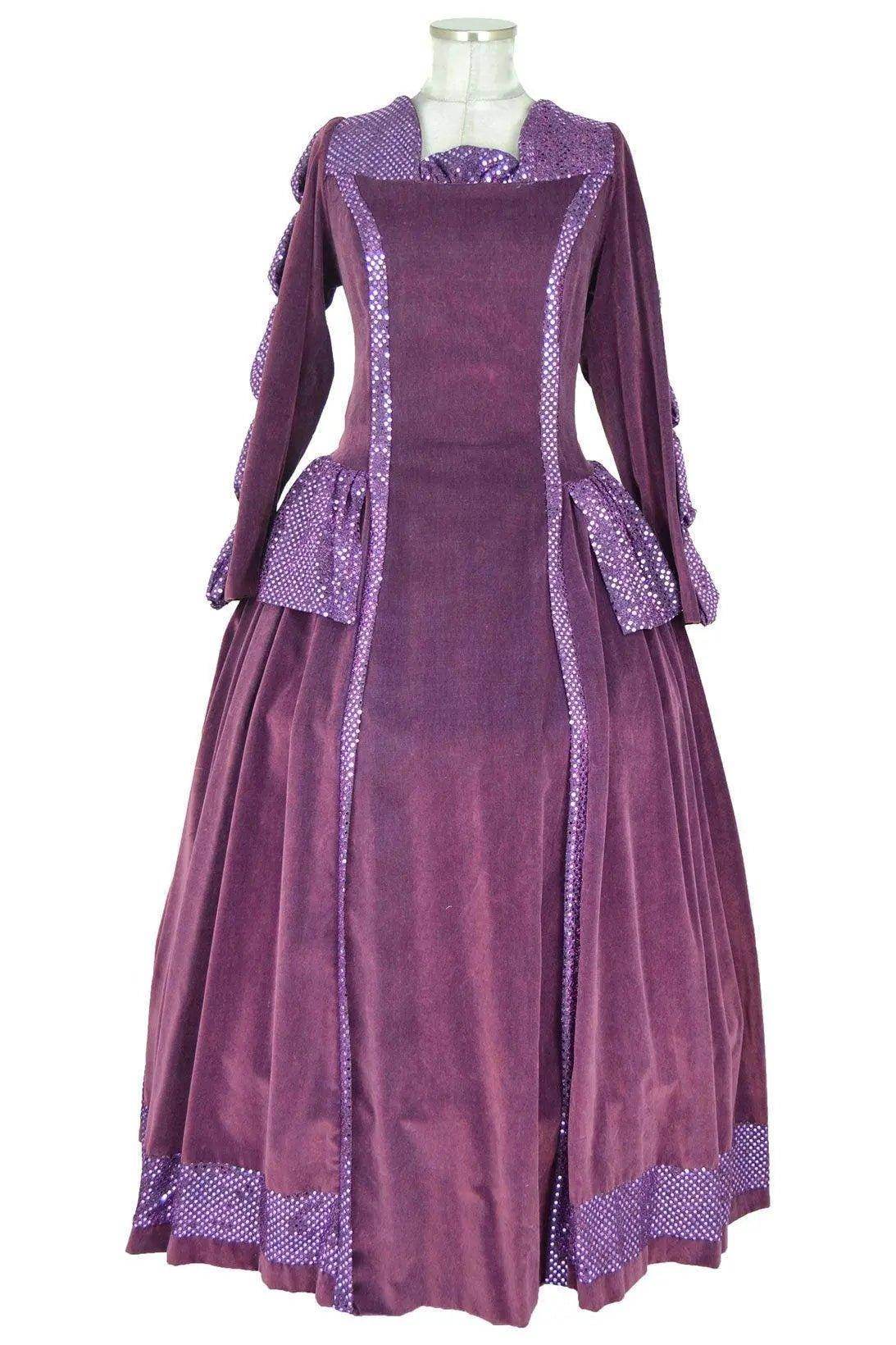 Noleggio abito storico Donna dama del Seicento viola prugna con pannello lilla visto frontalmente